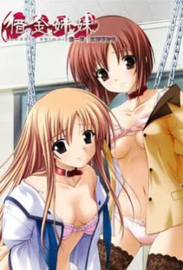 Debt Sisters